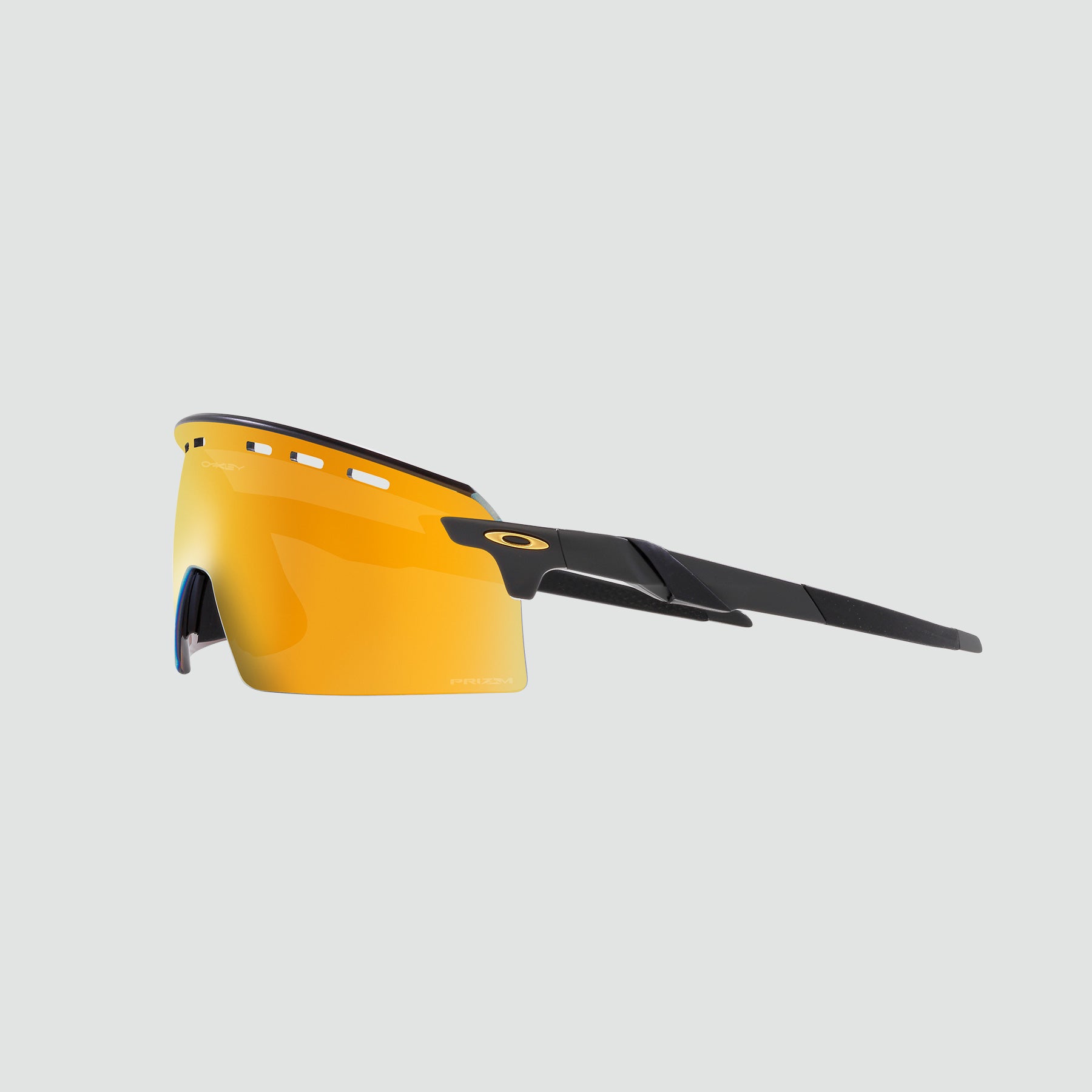 Encoder Strike 太陽眼鏡 - 霧面碳 Prizm 24K 銥