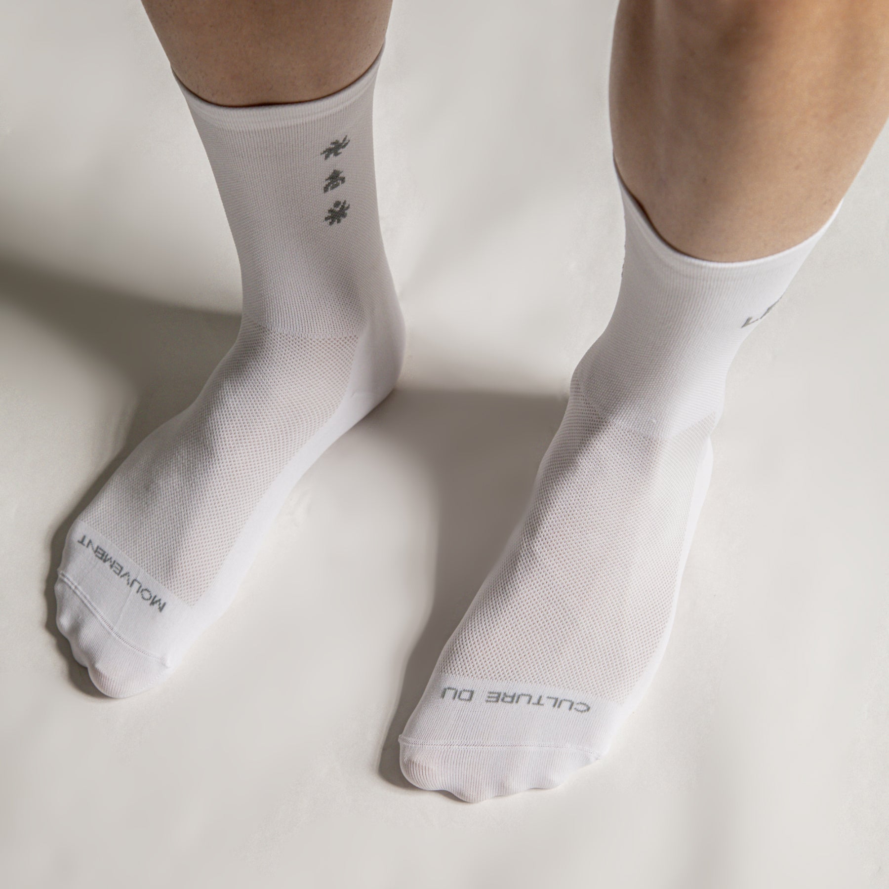 Le Club Socks 2026 - White