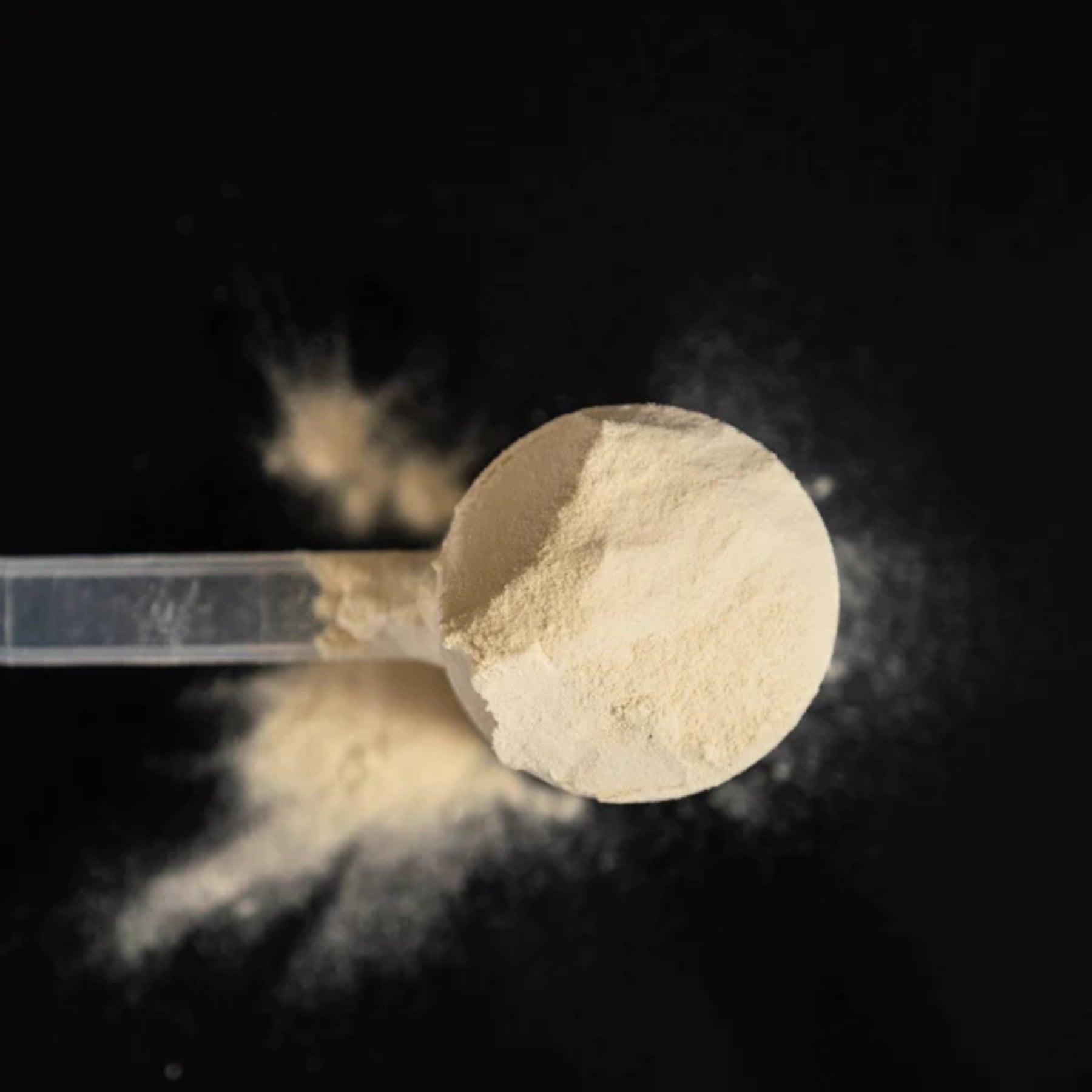 Protein Powder | Vanilla
